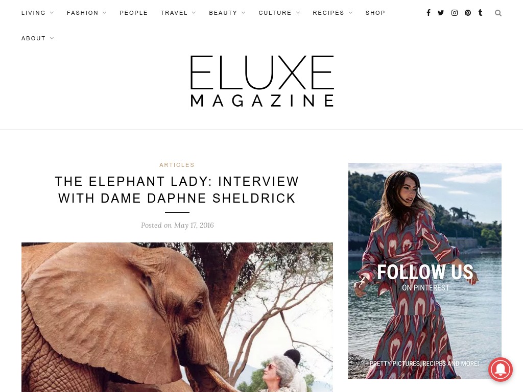 THE ELEPHANT LADY INTERVIEW WITH DAME DAPHNE SHELDRICK